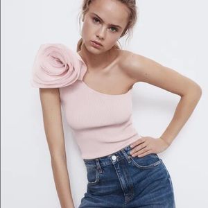 Pastel zara pink top